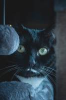 Hugo VIALADE - SNOZE LAB