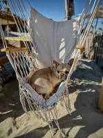 Ahmadou NJOYA - Doumah